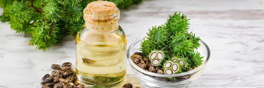 Tudo o Que Precisas Saber Sobre o Óleo de Rícino e os Seus Benefícios Naturais